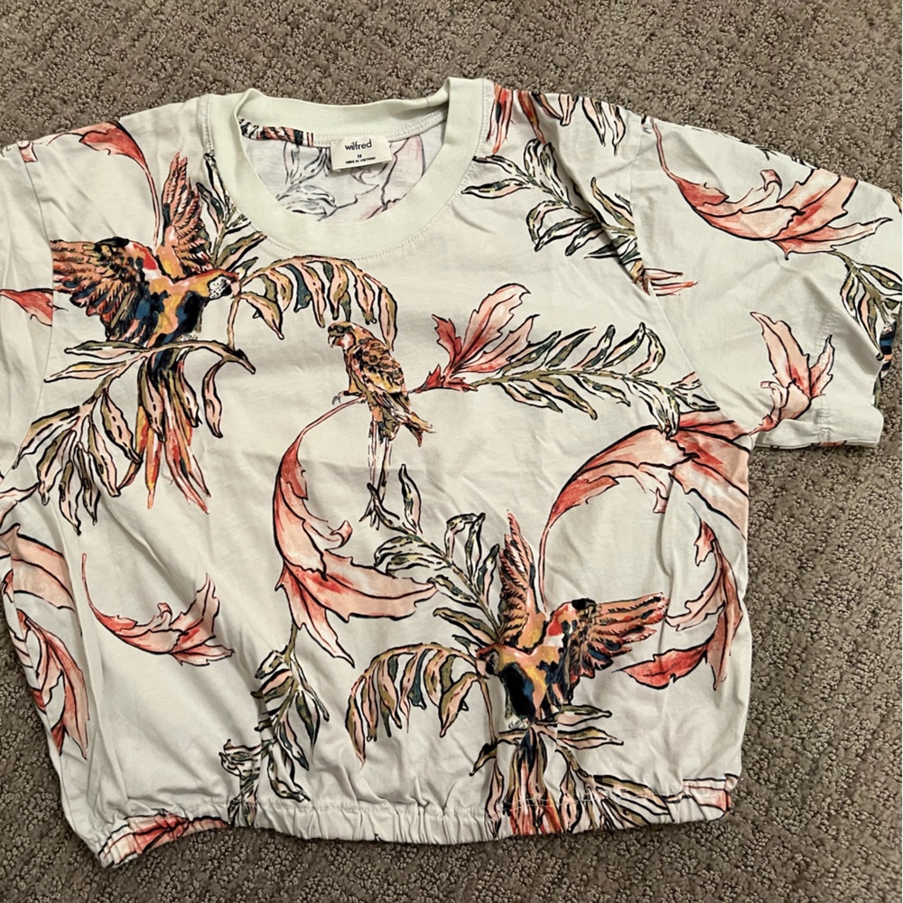 Aritzia Wilfred t shirt